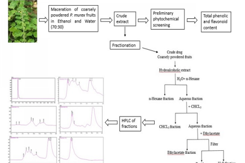 Phytochemical Analysis and Standardization of Pedalium murex Linn. Extract through HPLC Methods