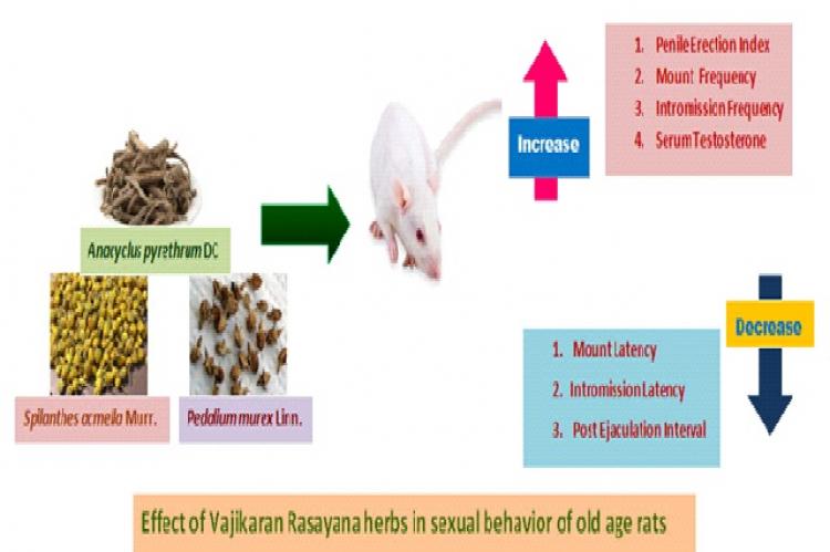 Graphical Abstract