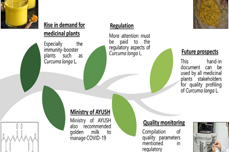 A Comparative Review on the Standard Quality Parameters of Turmeric