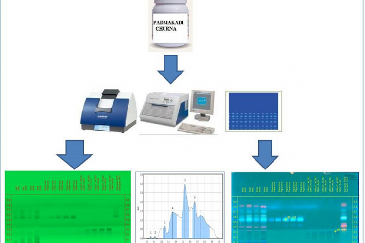 High Performance Thin Layer Chromatographic Standardization and Quantification of Marker Compounds in an Ayurvedic Polyherbal Formulation Padmakadi Churna