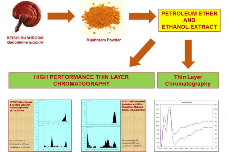 Chromatographic Studies on Extracts of Ganoderma lucidum