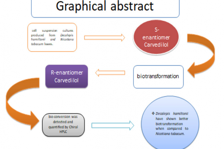 Biotransformation of Carvedilol Using Plant Cell Culture of Decalepis hamiltonii and Nicotiana tabacum