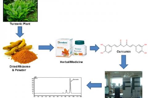 Graphical Abstract