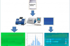 High Performance Thin Layer Chromatographic Standardization and Quantification of Marker Compounds in an Ayurvedic Polyherbal Formulation Padmakadi Churna